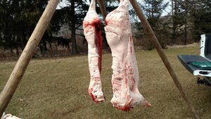 IMG_20180203_122307918 (1).jpg