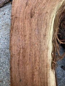 wood_closeup.jpg