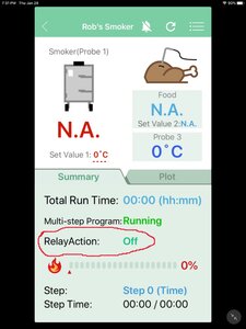 relay action.jpg