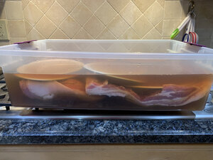 bacon1.jpg