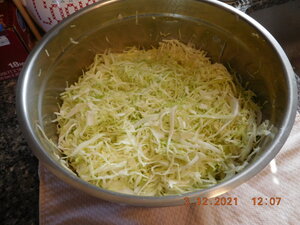 DSCN0944.JPG