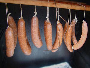47e139d9_HotLinks_hang_lg.jpg 47e139d9_HotLinks_hang_lg.jpg