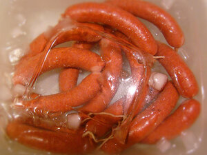 2c145b6c_HotLinks_ice_lg.jpg