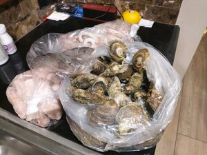 IMG_20210317_165638390.jpg