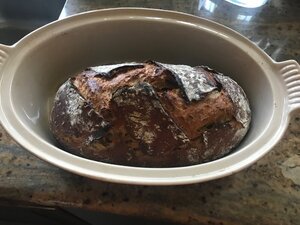 IMG_3184.jpg