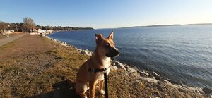 20210311_170038.jpg