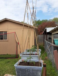 20210403_103349.jpg