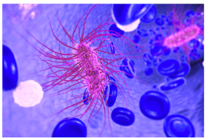 E.-coli.png
