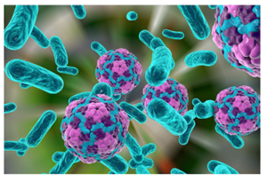 Hepatitis-A.png