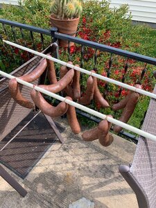 hanging.jpg hanging.jpg