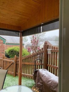 snow.jpg
