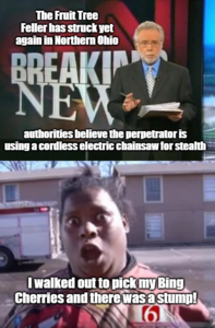 1619317265417.png