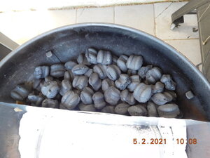 DSCN1107.JPG DSCN1107.JPG