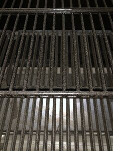 IMG_3298.jpg