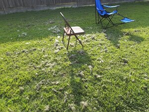 20210515_082748.jpg