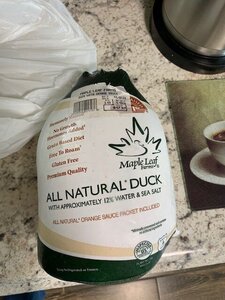 duck.jpg duck.jpg
