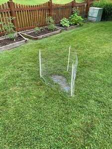 fence.jpg