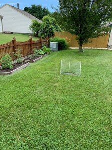 fence 2.jpg
