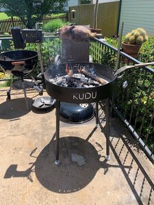 duck.jpg