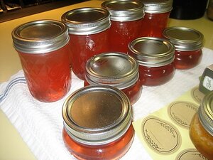 IMG_1757.JPG IMG_1757.JPG