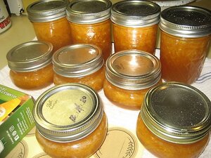 IMG_1758.JPG IMG_1758.JPG