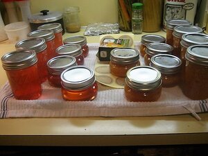 IMG_1756.JPG IMG_1756.JPG