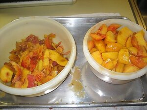 IMG_1754.JPG IMG_1754.JPG