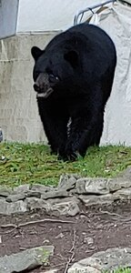 F8B32B4B-DE25-491A-B9AA-6BD4EE287EF2.jpeg