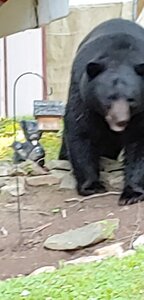 78CA49D8-ED1D-4F10-A6EC-534471464362.jpeg