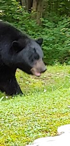 6CC6173F-0335-4BFD-9087-E34686671521.jpeg