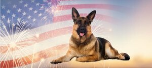 GSD-4th-of-July_800x360_Compressed_FEATURED.jpg