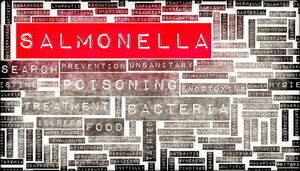 salmonella_1200x680.jpg