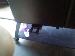 IMG_20210717_063714.jpg