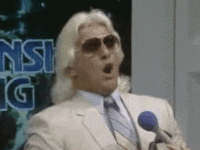lwx4qtl1cjr22r4t9h49zlxvqf6te09dm8fgucsx&rid=giphy.gif