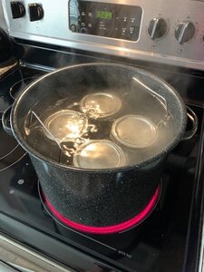 butter cooking.jpg butter cooking.jpg