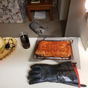 loaf and buddy.jpg