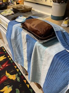 328AB717-B12C-4F5A-8B95-A4475EC238E4.jpeg