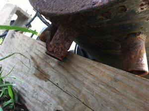 IMG_9096.jpg