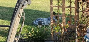 20210829_175356.jpg