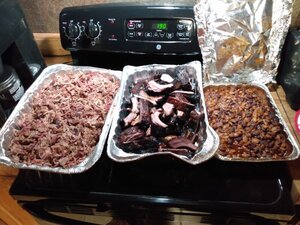 IMG_20210903_203835159.jpg