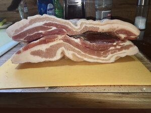 belly 2.jpg