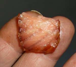 11-27 Atl Sal 009.JPG