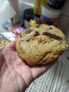 cookie-hand.jpg