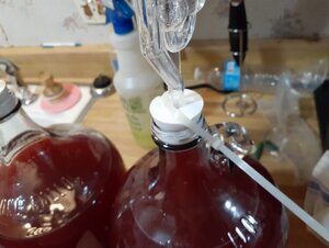 20211002_100057.jpg 20211002_100057.jpg