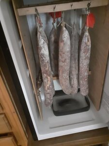 Drying chamber, 5 days .jpg