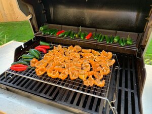 IMG_3267.jpg