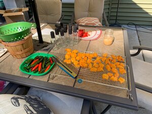 IMG_3268.jpg
