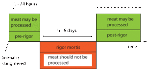 meat-selection-rigor-mortis.gif