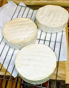 Brie3.jpg