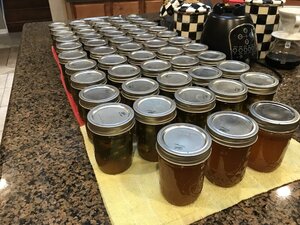 IMG_3036.JPG